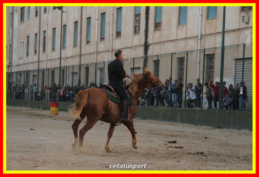 161106 equestre 044_tn.jpg